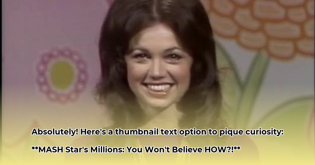 jo-ann-pflug-net-worth